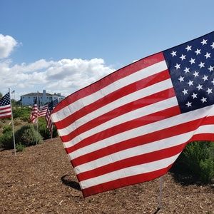 Meet your Posher, Marcello